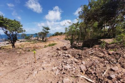 Điều kiện và Thủ tục chuyển đất rừng sang đất ở mới nhất 2021