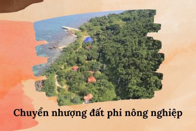 Điều kiện và Thuế phí chuyển nhượng đất phi nông nghiệp bao gồm những gì?