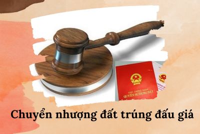 Đất đấu giá: Điều kiện, hồ sơ, thủ tục chuyển nhượng đất