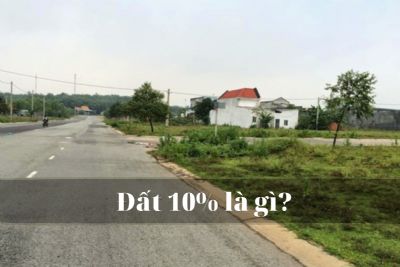 Đất 10% là gì? Quy định và Thủ tục chuyển đổi mục đích sử dụng đất 10%