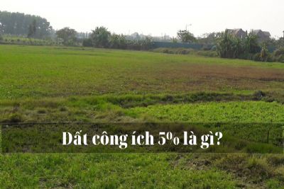 Đất công ích 5% là gì? Các quy định pháp lý về đất 5%