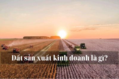 Đất sản xuất kinh doanh là gì? Thủ tục chuyển đổi mục đích sử dụng đất sang đất ở