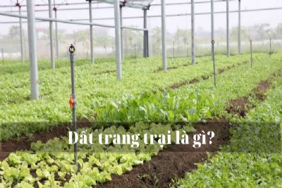 Đất trang trại là gì? Quy định về sử dụng đất trang trại 2021