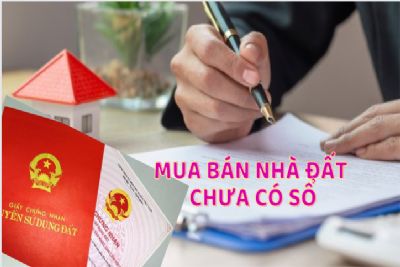 Mua bán nhà đất không có sổ đỏ, sổ hồng như thế nào?