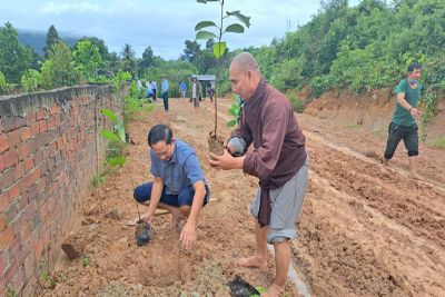 Phú Quốc phát động toàn dân trồng rừng