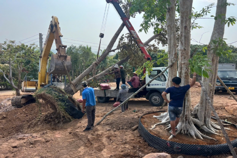 Bán 500 - 1000m² đất đắt giá độc bản Đồi Sao Khuê Trần Hưng Đạo, Đặc khu Phú Quốc. 1