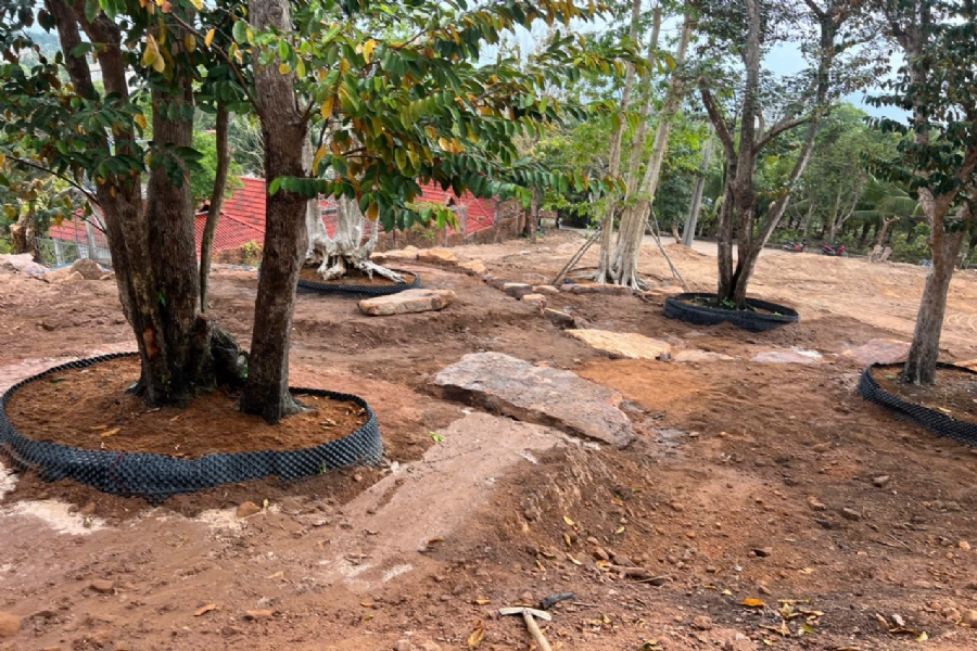 Bán 500 - 1000m² đất đắt giá độc bản Đồi Sao Khuê Trần Hưng Đạo, Đặc khu Phú Quốc. 6