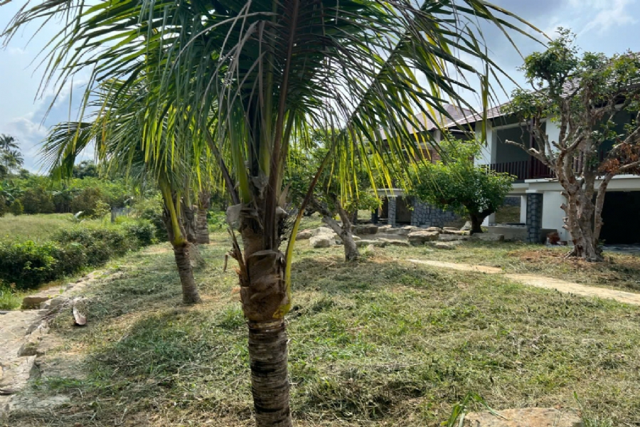 Bán Biệt Thự Khu Tượng, Cửa Dương: Xây Thô, Hoàn Thiện Cảnh Quan, 8 Tỷ, Sổ 800m², Thực Tế 1300m² 1