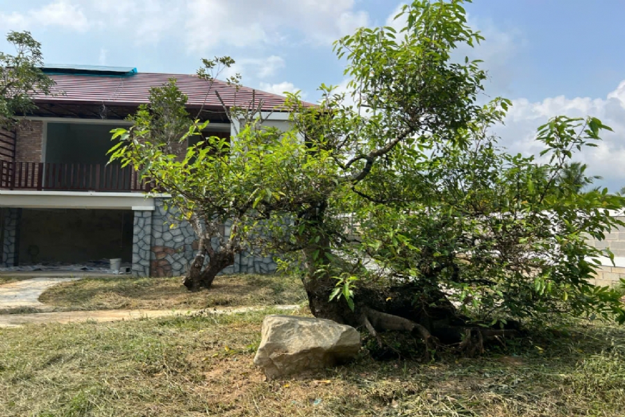 Bán Biệt Thự Khu Tượng, Cửa Dương: Xây Thô, Hoàn Thiện Cảnh Quan, 8 Tỷ, Sổ 800m², Thực Tế 1300m² 3