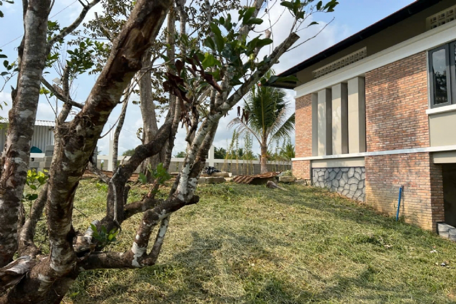 Bán Biệt Thự Khu Tượng, Cửa Dương: Xây Thô, Hoàn Thiện Cảnh Quan, 8 Tỷ, Sổ 800m², Thực Tế 1300m² 7