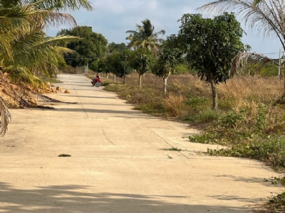 Bán Đất Khu Tượng gần biển Ông Lang: 500m², Giá 2,1 Tỷ, Quy Hoạch Đất Ở, Mặt Đường 8m