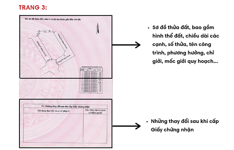 Hướng dẫn cách đọc thông tin ghi trên sổ đỏ, sổ hồng
