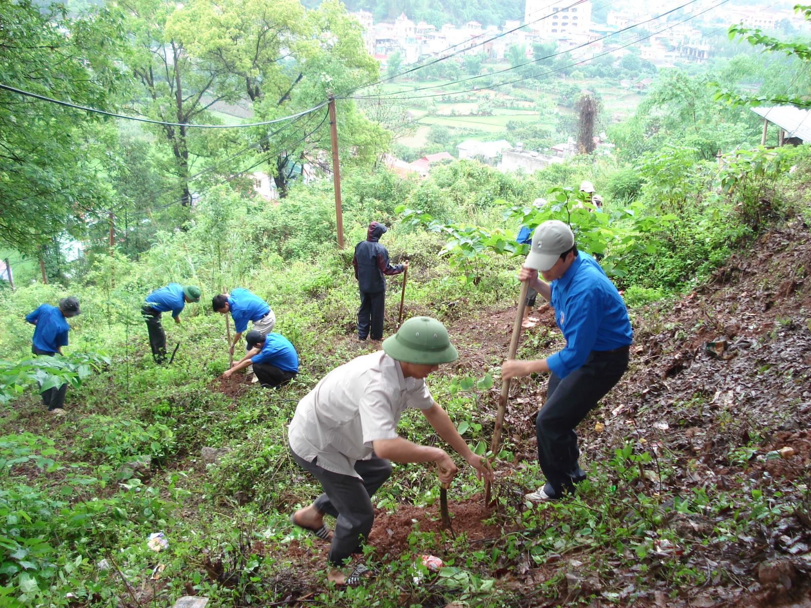 Đất lâm nghiệp là gì? Có được chuyển nhượng, làm nhà, thế chấp không?