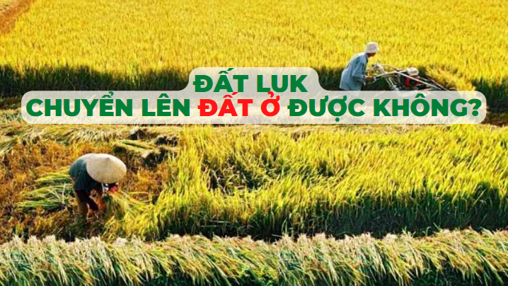 đất luk là gì 