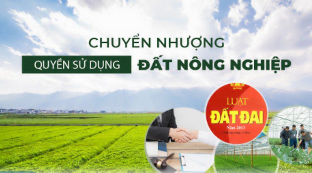 Đất nông nghiệp là gì? Giải đáp 1 số câu hỏi về đất nông nghiệp