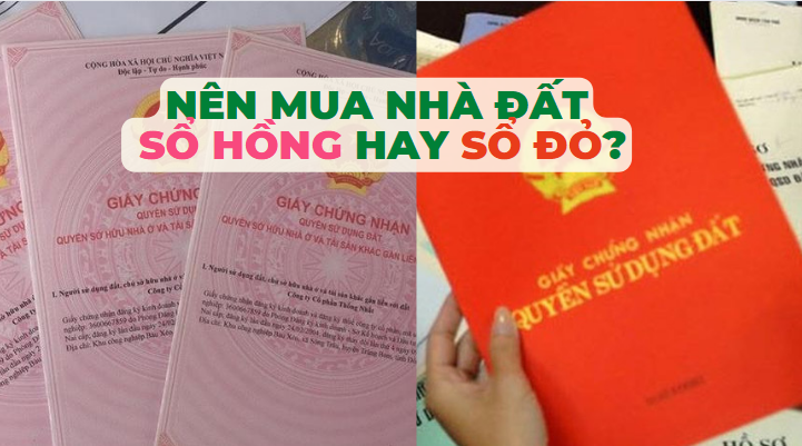 nên mua nhà đất có sổ hồng hay sổ đỏ